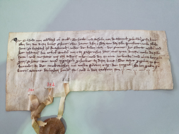 iiris_img/private/actes/AVES CH 25_559r.jpg